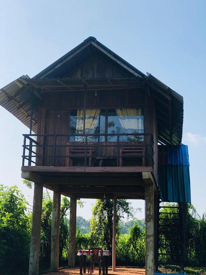 Sigiriya Paddy Field Hut Villa Ngoại thất bức ảnh